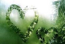 乌拉圭2022世界杯阵容,老炮压阵+新星崛起,能否续写荣光?